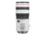 Thumbnail: Canon RF 70-200mm F2.8 L IS USM Z