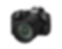 Canon EOS R6 Mark III